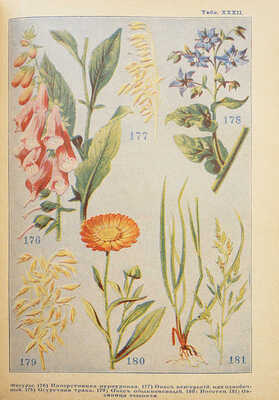 Полный русский иллюстрированный словарь-травник и цветник... СПб., 1898-1899-1901.